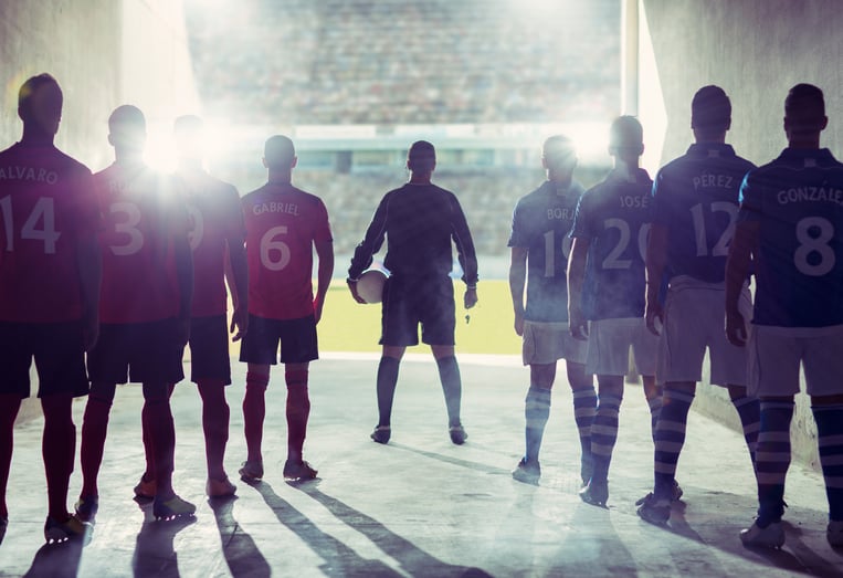 Sports Sponsorship Datasets