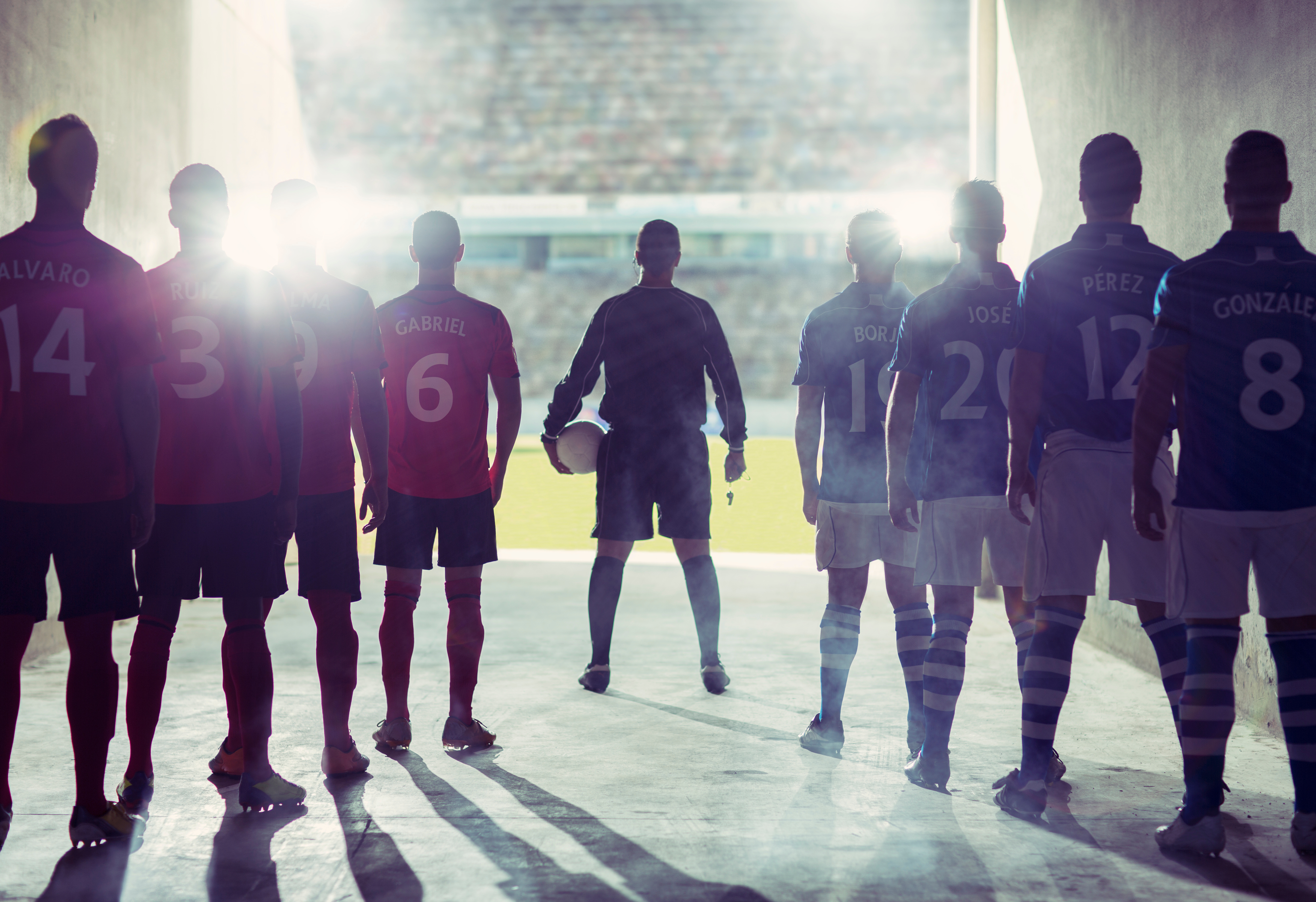 A Complete, Comprehensive Sports Sponsorship Dataset: 3 Use Cases for Brands